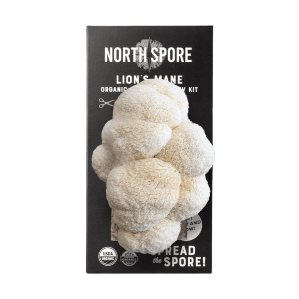 North Spore Organic Lion's Mane Spray & Grow Kit